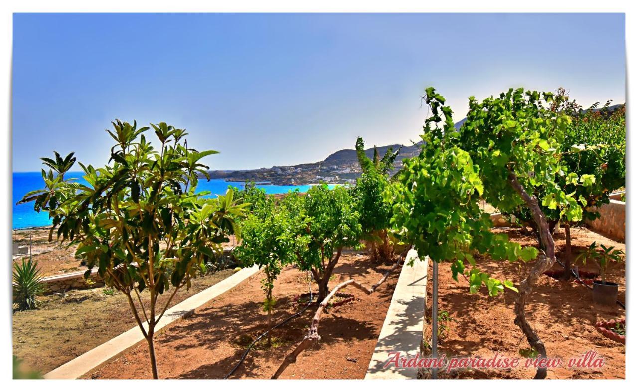 Ardani paradise view villa with jacuzzi Amoopi Buitenkant foto